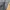 Celana Tactical Gray XXL photo 2