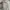 Celana Tactical Gray XXL photo 3