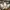 Tracktop Adidas Firebird X Farm Tucano Rio photo 4