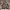 Tracktop Adidas Firebird X Farm Tucano Rio photo 1