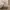 Celana Tactical Brown XXL photo 6