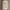 Celana Tactical Brown XXL photo 5