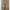 Celana Tactical Brown XXL photo 1
