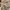 Celana Tactical Brown XXL photo 4