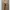 Celana Tactical Brown XXL photo 7
