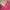 Tas Makeup Pink dengan kaca - Bisa Nego! photo 2