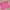 Tas Makeup Pink dengan kaca - Bisa Nego! photo 1