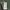 iphone 11 64gb photo 3