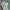 iphone 11 64gb photo 2