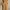 Jumpsuit Linen brown simple photo 1