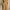 Jumpsuit Linen Brown Simple