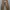 Brown Corduroy Pants by Cosmic photo 1
