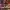 Nike Jordan Chicago Off White photo 1