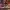 Nike Jordan Chicago Off White