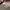 Nike Jordan Chicago Off White photo 4
