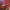 Nike Jordan Chicago Off White photo 2