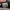 Nike Jordan Chicago Off White photo 7