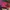 Nike Jordan Chicago Off White photo 3