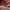 Nike Jordan Chicago Off White photo 8