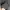 DARPHIN Korean Brand Crop Top Long Sleeve Knit Rajut Jaring photo 3