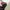 DARPHIN Korean Brand Crop Top Long Sleeve Knit Rajut Jaring photo 2