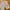Lee Casual Short Wanita multicolor photo 1
