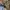 Carhartt Vintage Streetwear Denim jacket Pria tan photo 4