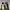 Vans Skater Sneakers Pria white black photo 4