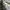 ORG Cargo Army Green Loose Fit JR587 photo 6
