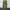 Uniqlo Chino Mocca Skinny Fit DB549 photo 3