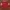 Spao Gryffindor Crewneck Sweatshirt Outer Jaket Jacket