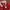 Spao Gryffindor Crewneck Sweatshirt Outer Jaket Jacket photo 3