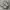 Asics Gel Kanyo 14  photo 1