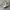 Onitsuka Tiger Mexico 66 White Grey photo 1