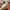 Flat Fitty Cap snapback photo 5