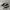 Vans Authentic Black White photo 1