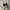 Vans Authentic Black White photo 4