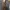 Louis Vuitton Casual Shoulder bag Wanita brown photo 7