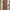 Lolita Minimalist Maxi dress Wanita multicolor photo 2