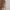 Lolita Minimalist Maxi dress Wanita multicolor photo 3