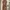 Lolita Minimalist Maxi dress Wanita multicolor photo 1