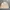 ZARA White Ramonez Leather Jacket photo 1