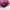 Coach patchwork flap soho signature bag authentic photo 5