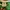Hoodie Zipper WHO AU Green photo 3