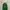 Hoodie Zipper WHO AU Green photo 1