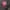 Coach pink pleated leather zipper closure shoulder/crossbody photo 4