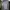 Nike Streetwear Sportswear Sweatshirt Pria gray photo 6