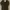 scotch&soda coat photo 1