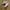 Converse chuck 70s photo 1