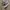 Converse chuck 70's photo 1